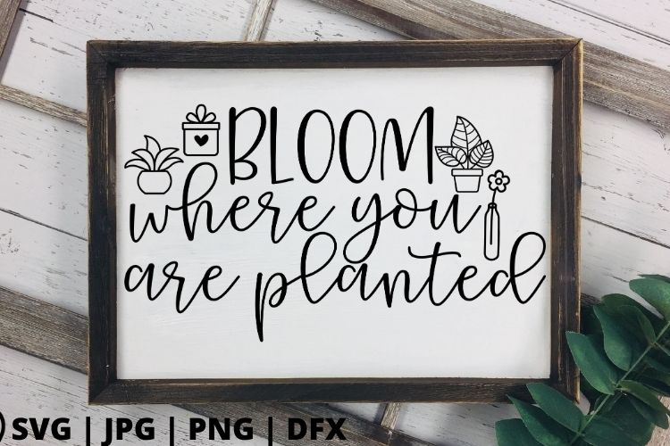 Bloom where you are planted SVG - Good Morning Chaos